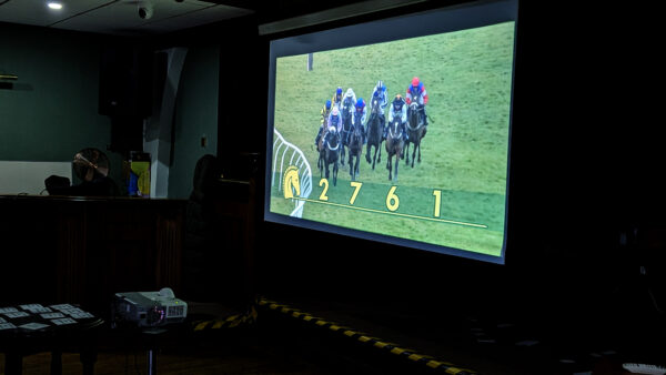 Race night in action on screen